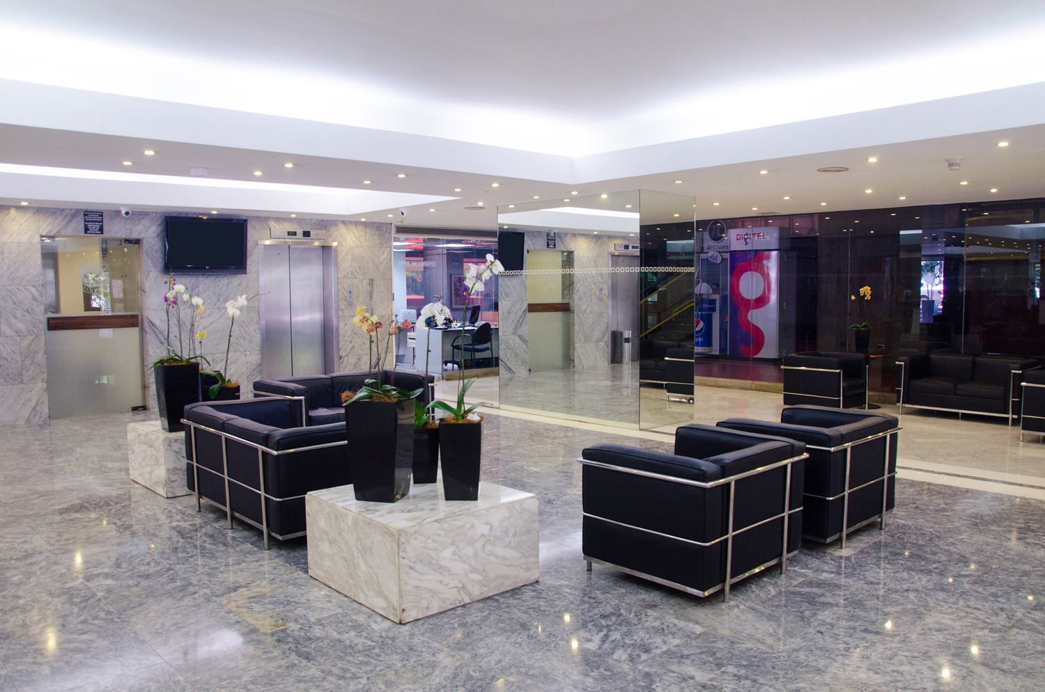 Hotel Paseo De Las Mercedes 卡拉卡斯 外观 照片