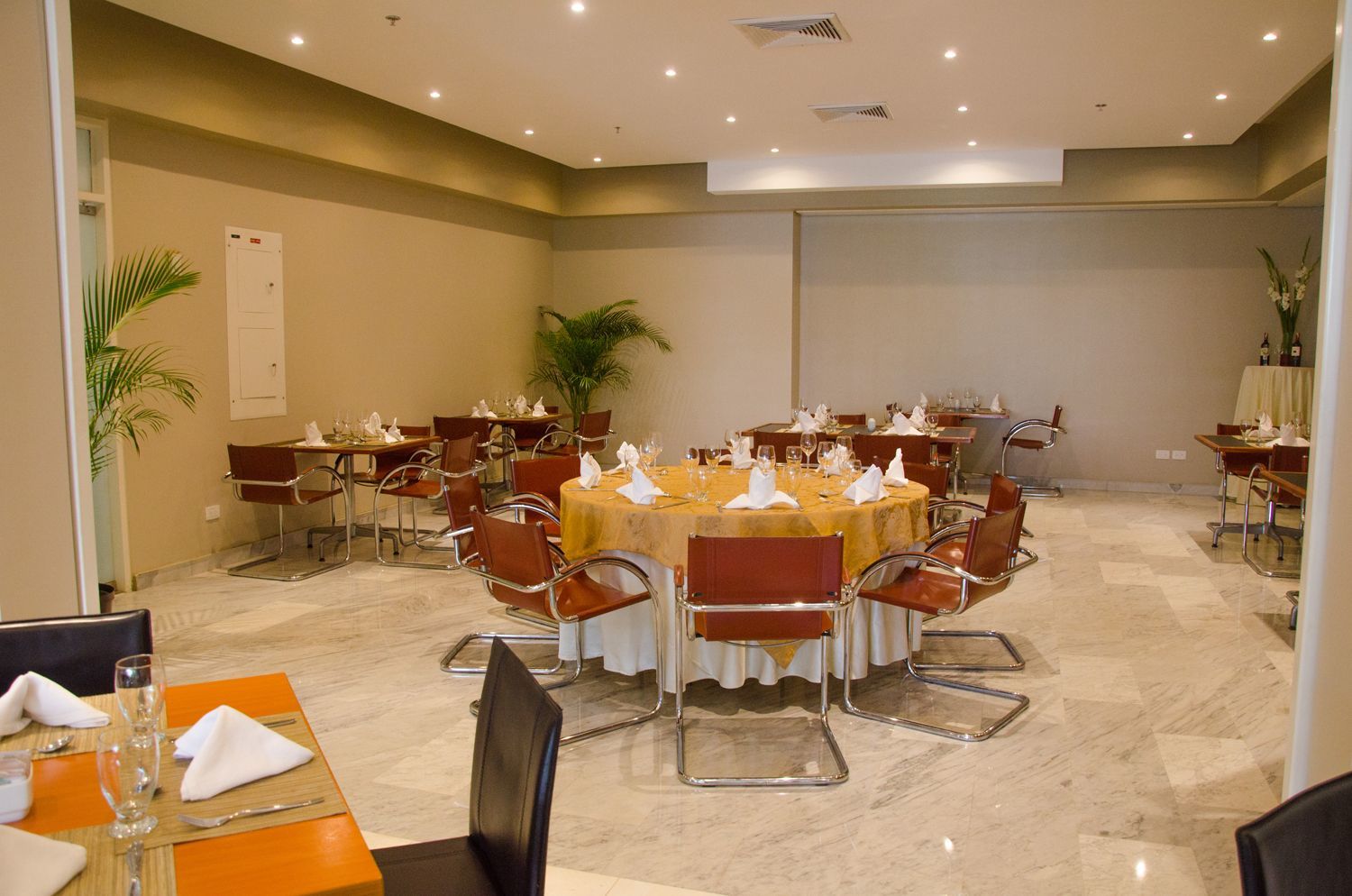 Hotel Paseo De Las Mercedes 卡拉卡斯 外观 照片